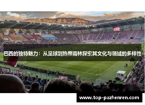 巴西的独特魅力：从足球到热带雨林探索其文化与领域的多样性