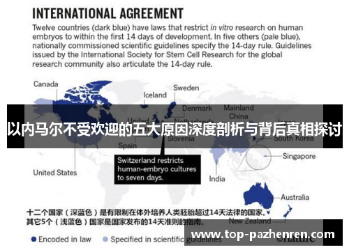 以内马尔不受欢迎的五大原因深度剖析与背后真相探讨
