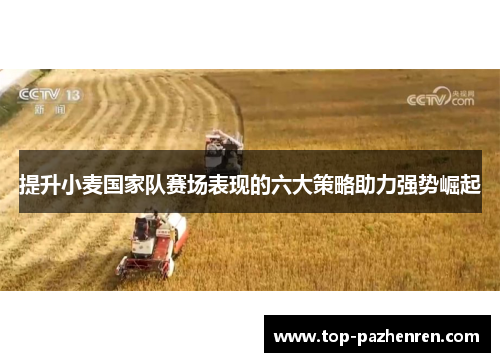 提升小麦国家队赛场表现的六大策略助力强势崛起